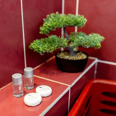 Ada Old Town 7 Apartment Brasov